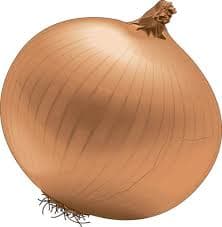 Brown Onion