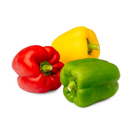 Capsicum