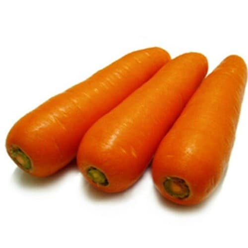 Carrot