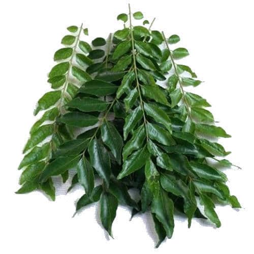Curry Leaf Pack