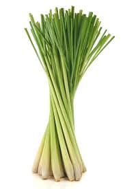 Lemongrass