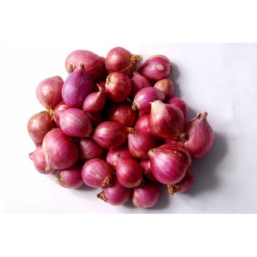 Shallot Onion
