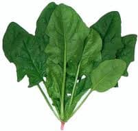 Spinach Bunch
