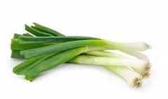 Spring Onion Bunch