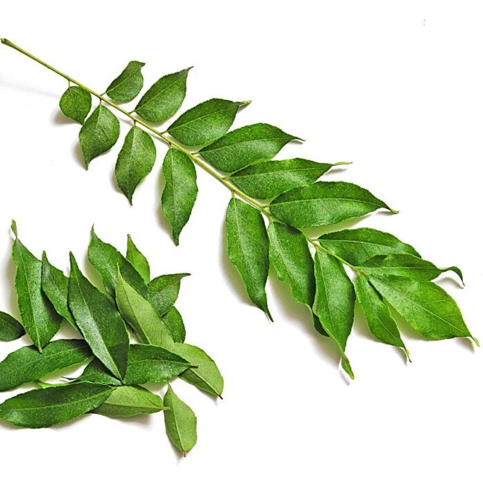Curry Leaves Packet - Image 2