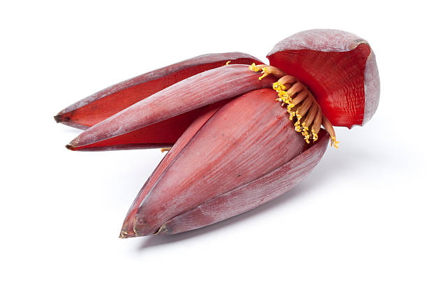Banana Bell